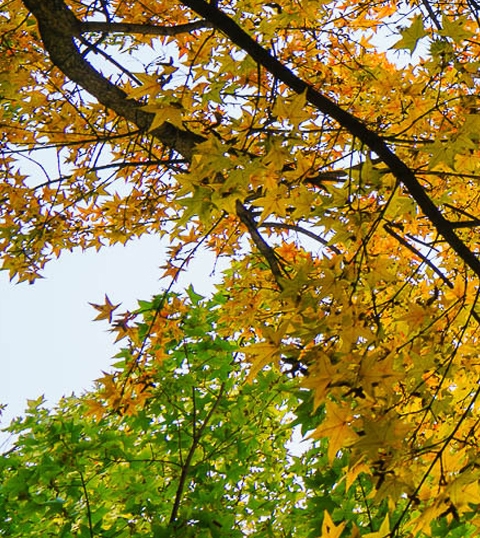 粉象生活收入图片