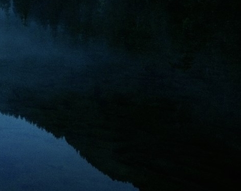 广东脱水蒜粉加盟