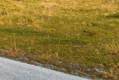 粉象生活app下载安装