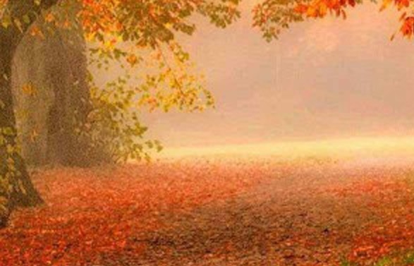 粉象生活合法吗