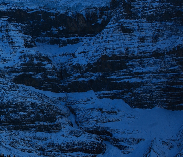 粉象生活有哪些app