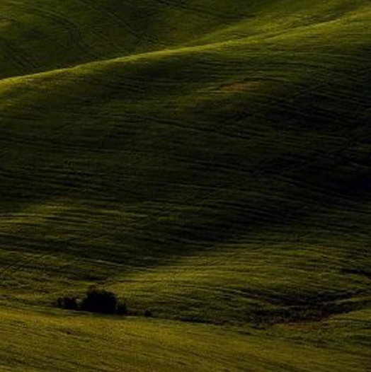 怎么加入粉象生活