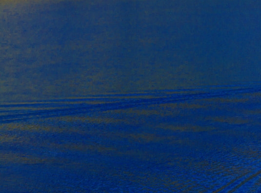 粉象生活电话更改