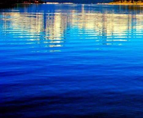 粉象生活下载app