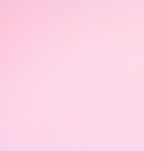 李红星粉象生活