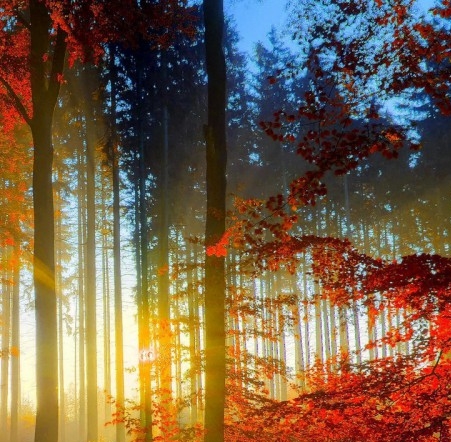 粉象生活宝妈如何挣钱