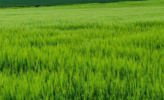 粉象生活商家如何注册