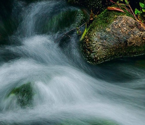 粉象生活每日流量