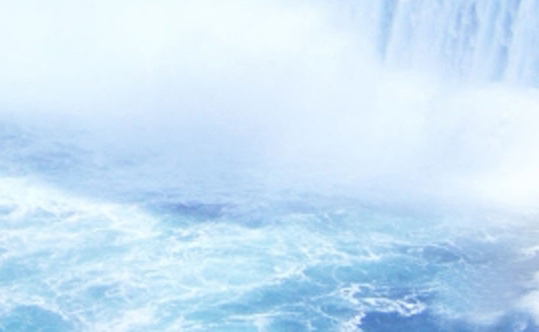 粉象生活新人福利界面