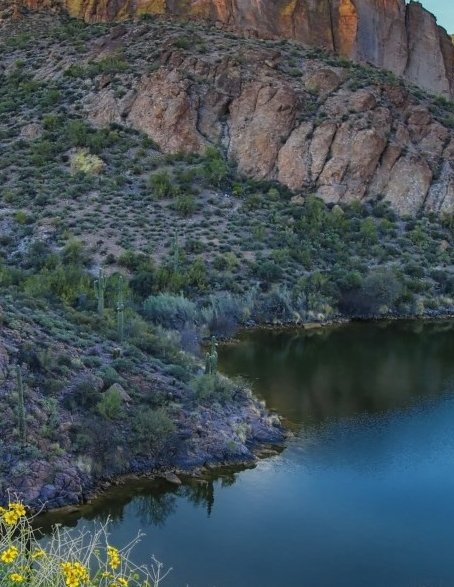 商家怎么加入建行生活