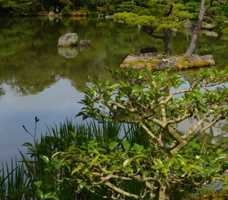 粉象生活怎么快速推广