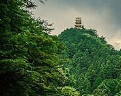 粉象生活能开通店铺吗