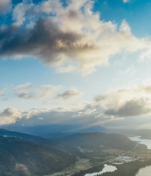 粉象生活邀请码
