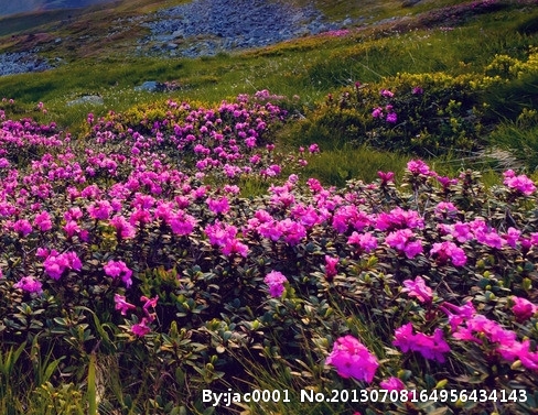 粉象平台总部薇fxsh33