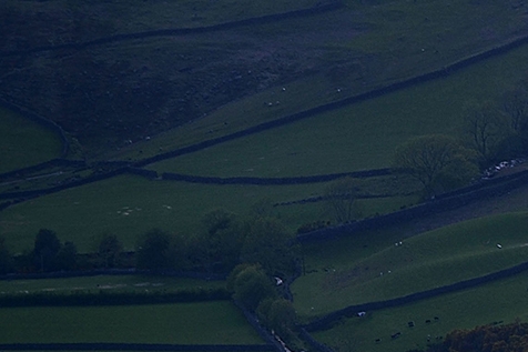 粉象生活对接闲鱼