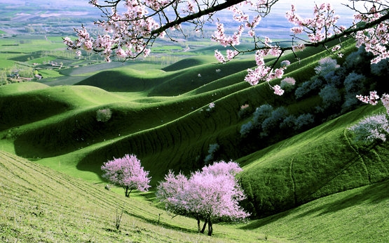 粉象生活怎么app