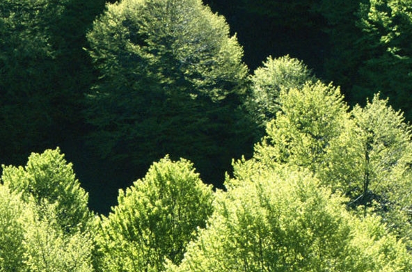 粉象生活粉丝怎么增加