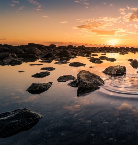 粉象生活怎么注册才能赚钱