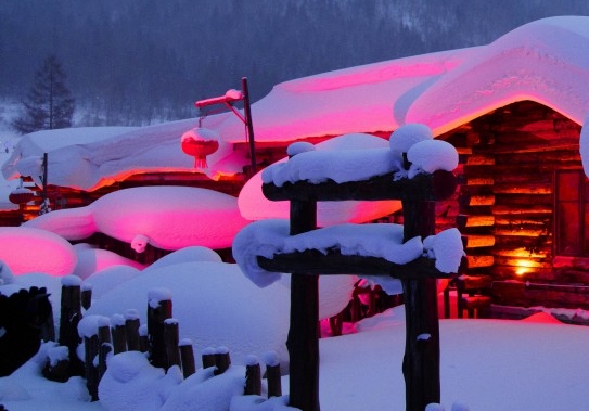 粉象生活总代理会员邀请码