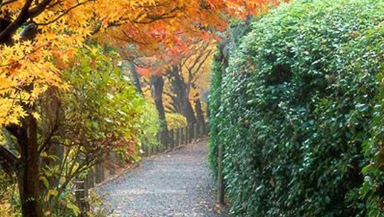 粉象生活邀请码