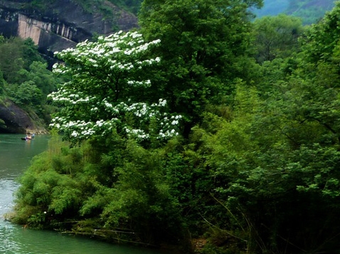 粉象生活上的钱怎么提现