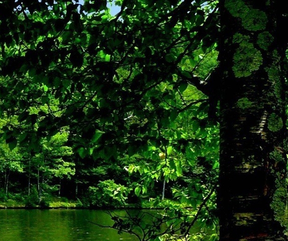 粉象生活399升级会员