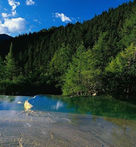 泰州粉象生活收入