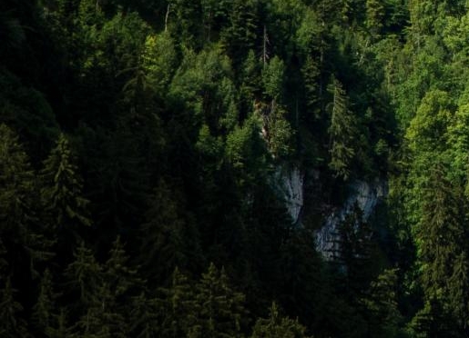 粉象生活怎么快速推广