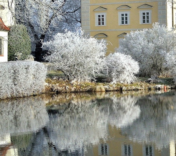 粉象生活赚钱教程
