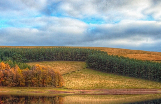 福州粉象生活收入