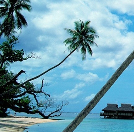 万象物语新手自选SP