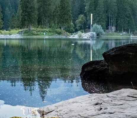 粉象生活有没有官网