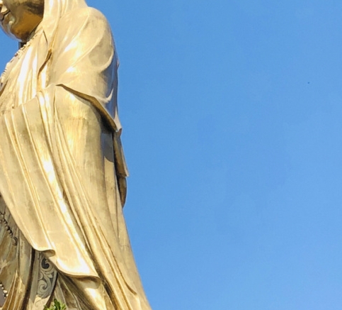 粉象生活怎么赚钱