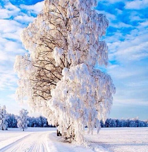 韶关粉象生活没有天天零元购怎么回事