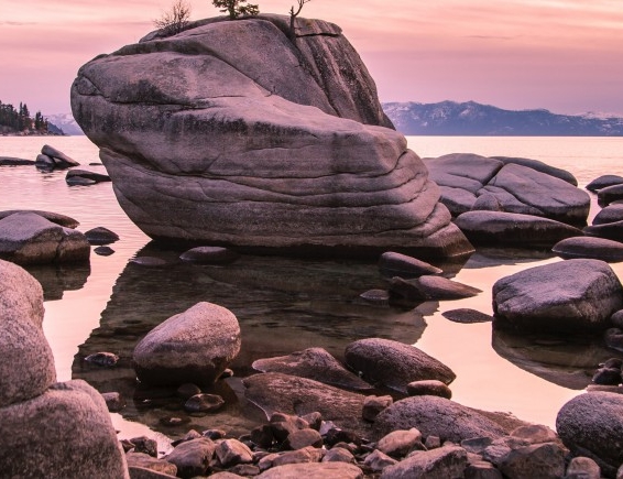 粉象生活的新手期怎么算