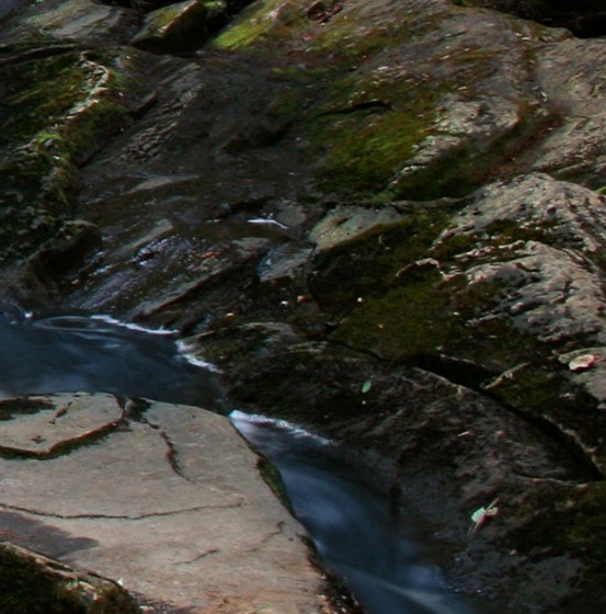 粉象生活如何开通会员
