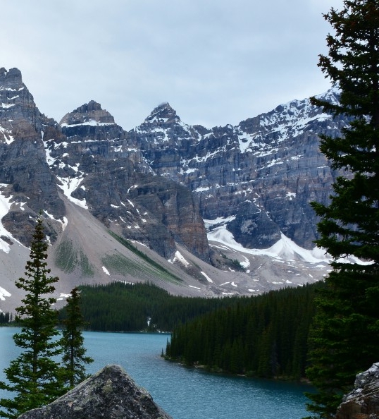 粉象生活用的什么软件