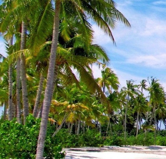 粉象生活怎么宣传粉象生活