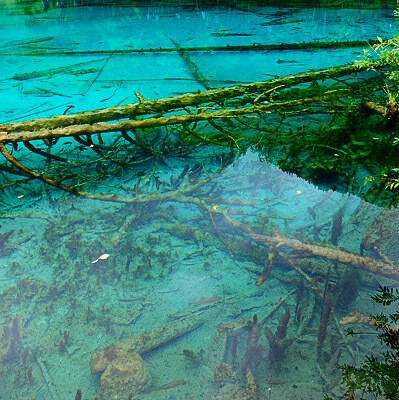 菏泽粉象生活推广邀请奖励