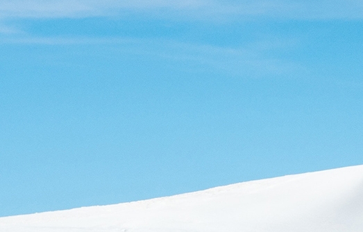 粉象生活月收益