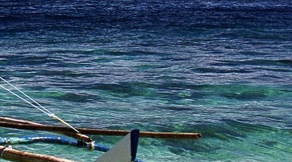 绍兴选择粉象生活