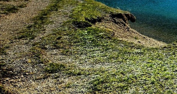 粉象生活的主页怎么开通