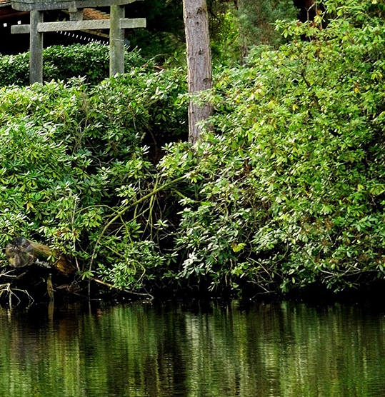 粉象生活怎么设置收款人