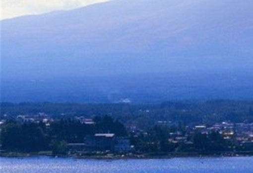 粉象生活买东西如何优惠