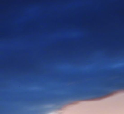 粉象生活下载app