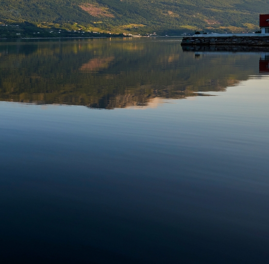 粉象生活新模式