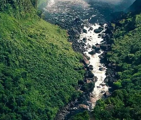 粉象生活怎么找优惠券