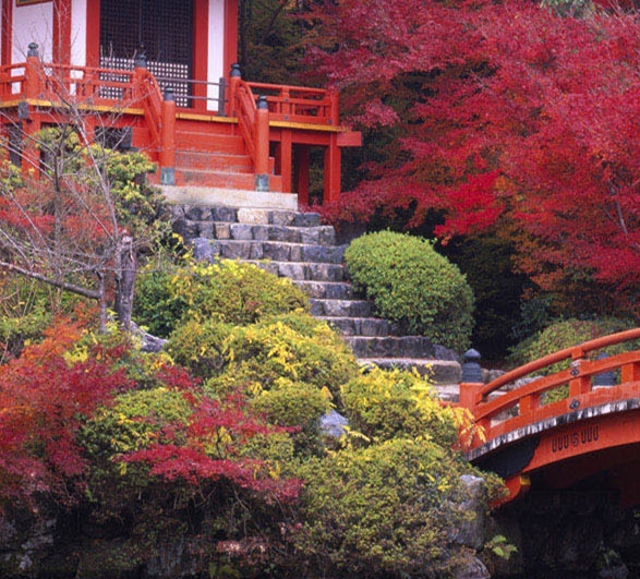 粉象生活如何成为商家