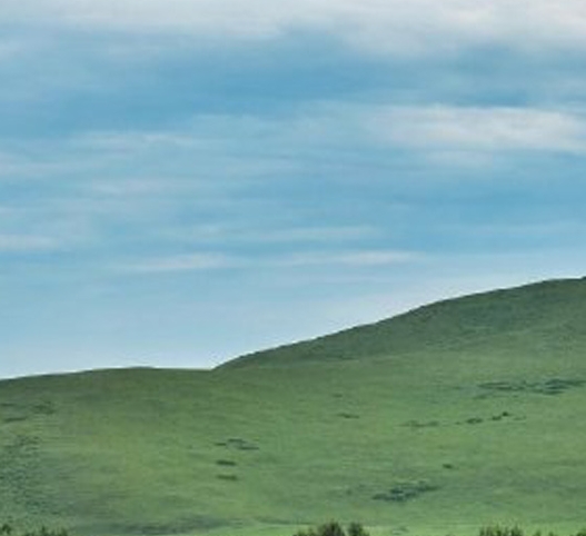 云集和粉象生活哪个好