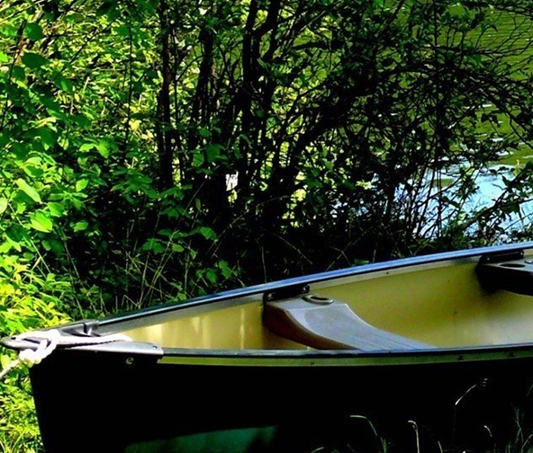 粉象生活模式合法吗